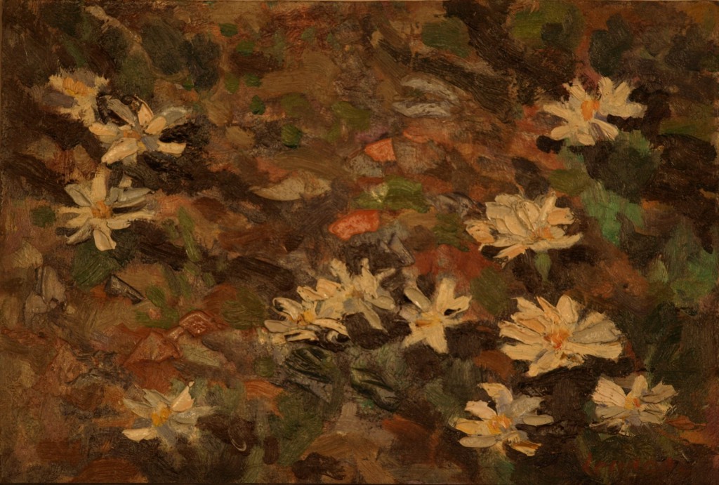 Bloodroot in Sunlight, Oil on Panel, 8.5 x 12 Inches, by Bernard Lennon, $1000